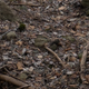 Image for article titled Field Test: Fujifilm's X100T Is the Most Amazing Camera I'd Never Buy